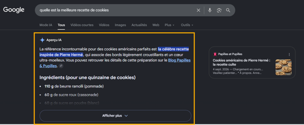 Aperçu IA dans les résultats de recherches de Google